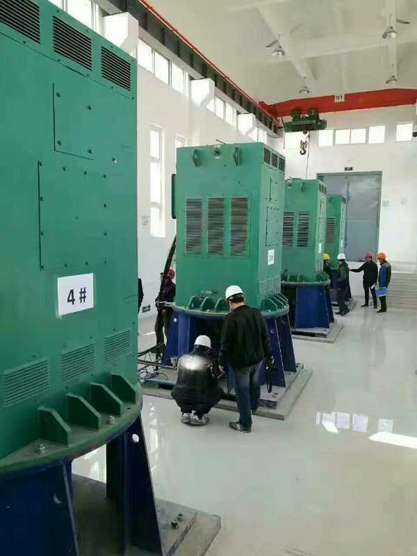 桂东某污水处理厂使用我厂的立式高压电机安装现场